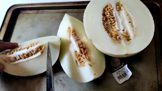 How To Know When A Sweet Snowball Melon Is Ripe