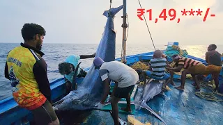 300 KG இராட்சத மார்லின் மீனை போராடி பிடித்தோம்|ஒரு மீன் இவ்வளவு விலையா?|Deep Sea Fishing|S02-EP12