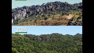 An astounding transformation of this deforested land in the Philippines after 20 years of care