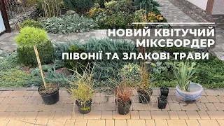 Новий квітучий міксбордер.  Півонії та злакові трави.