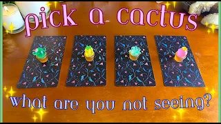 What You’re NOT SEEING 👁🌵✨ Detailed Pick a Card Tarot Reading