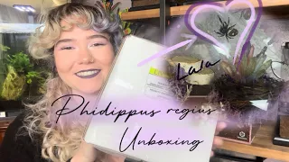 Unboxing my first Jumping Spider (Phidippus regius)