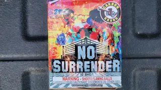 No Surrender 200g 12 shot cake by Cannon fireworks