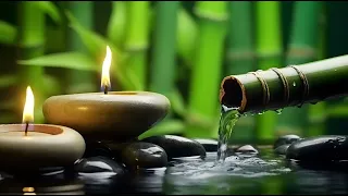 Relaxing Piano Music 🌿 Bamboo Help Stabilize Mind and Restore Health🌿 Soft Spa Piano