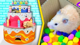 Hamsters in a 5 - Level Cake - Maze