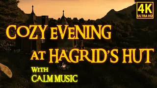 Harry Potter | Summertime Serenity at Hagrid's Hut