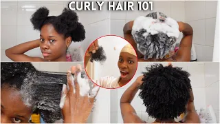 4C Natural hair wash day routine for beginners | No breakage - Beginners guide to thick & curly 4c