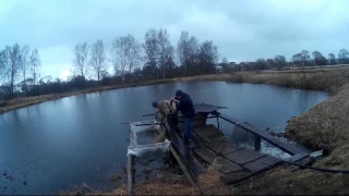 Зарыбление (карп) Водоема Тец2 Смоленск