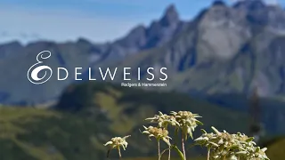 "Edelweiss" (Rodgers & Hammerstein) from The Sound of Music - A CHOIRANTINE Tribute