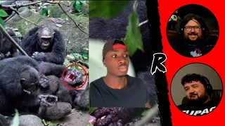 One Mistake and This Chimp Lost It All - @mndiaye_97 | RENEGADES REACT