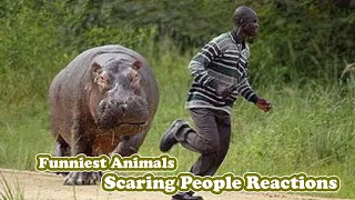 Funniest Animals Scaring People Reactions | Funny Animal Video Compilation 2020