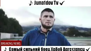 🎼 Самый Сильный боец Хабиб Дагестанец ... 💣