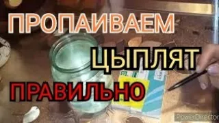 Самая Надёжная Пропойка для Покупных Цыплят//Антибиотики для Цыплят!?//Пропойка по Золотухину Н.И.