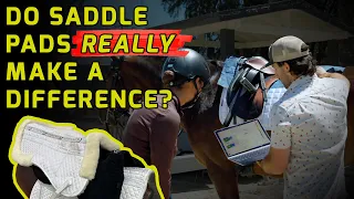 Saddle Pad Comparison w/ Data: Basic pad vs fleece pad vs squish pad