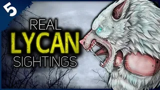 5 REAL Lycanthrope Sightings | Darkness Prevails