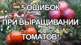 НИКОГДА НЕ СОВЕРШАЙТЕ ЭТИХ ОШИБОК ПРИ ВЫРАЩИВАНИИ ТОМАТОВ! 5 СОВЕТОВ НАЧИНАЮЩИМ ТОМАТОВОДАМ!