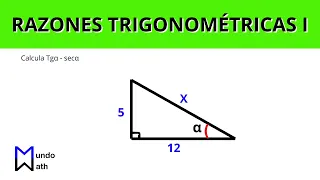 Razones Trigonométricas  de Ángulos Agudos - Parte 01
