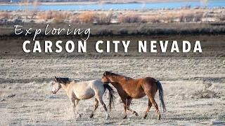 Exploring Carson City NV | Wild Horses, Hot Springs, Downtown | Life Update!