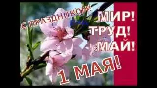 С праздником 1 мая! видео, созданное накануне праздника 1 мая