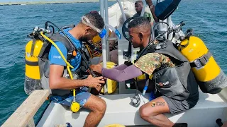 Kenyans plant coral reefs to revive fisheries.