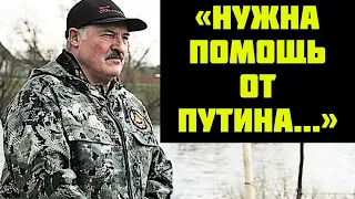 ШОК Лукашенко хотели посадить в погреб ФСБ раскрыли планы госпереворота «по приказу властей США»