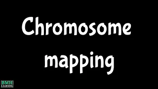 Chromosome Mapping | Gene Mapping |