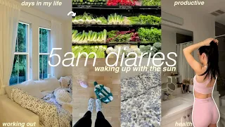 5am diaries☁️ waking up with the sun + *productive* vlog + workout motivation + grocery haul