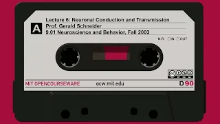 Lecture 6: Neuronal Conduction and Transmission
