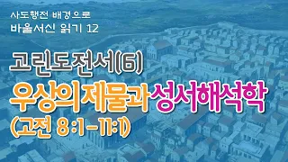 고린도전서(6) 우상의 제물에 관한 권면(고전 8:1-11:1)에서 배우는 성서 해석 원리