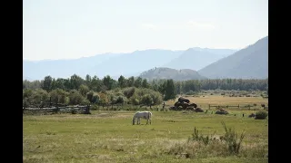 Верх уймон Усть коксинский район / Алтай Верх уймон