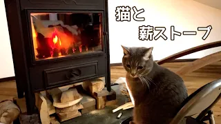 久しぶりの薪ストーブを満喫してる猫と初めて見た猫。本格的に寒い日の猫たちの様子【玄関先に突然現れた子猫】【保護猫ラグドール】