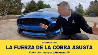 FASCINADO CON EL MUSTANG 2019 Shelby GT350 • VLOG 189