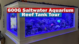600g Saltwater Aquarium Reef Tank Tour!
