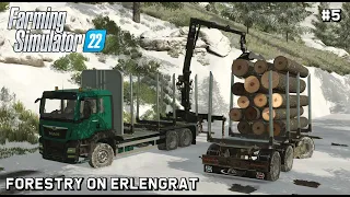 Transporting LOGS with new MAN truck | Forestry on ERLENGRAT | Farming Simulator 22 | Episode 5