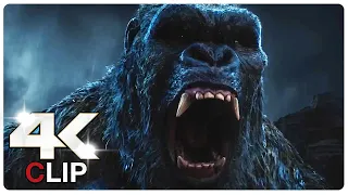 Kong Screams Scene | MONARCH LEGACY OF MONSTERS (NEW 2024) CLIP 4K