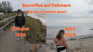 STURMFLUT Fehmarn 2023 😱 Was ist seitdem passiert? Trelino Lüfter Einbau 🚽