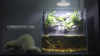 Make Underground CAVE between Land and Waterfall Aquarium l First Time to FEED the terrible food
