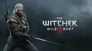 The Witcher 3 Benchmark : AMD fx 6300/geforce gtx 1050ti