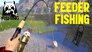 How to Feeder Fish in Russian Fishing 4