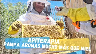 APITERAPIA, mucho más que miel