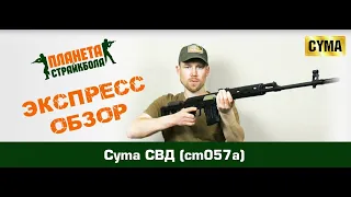 Обзор СВД, электрика от Cyma