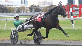 Ambassador Hanover & Åke Svanstedt wins Breeders_Crown - Elim. 3 YO C&G in 1.51,2 at The Meadowlands