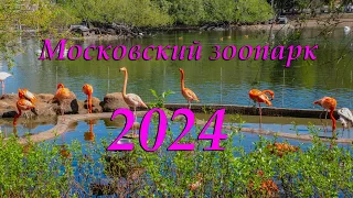 Московский зоопарк - 2024.
