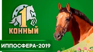 Иппосфера-2019