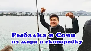 Рыбалка в Сочи - ставрида с катера - куда сходить в Сочи - VO Time