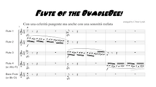 "Flute of the BumbleBee!" for Flute Choir (with score)     《大黄蜂的笛子！》為長笛合唱團而作（附樂譜）