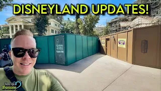 Big Disneyland Updates & Crowds This Week! Tianas, Refurbs & More!