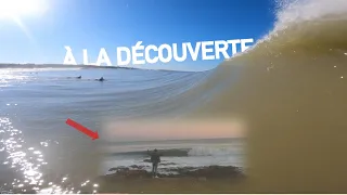 DÉCOUVERTE D'UN REEF INCROYABLE EN VENDÉE !