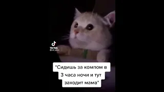 когда сидишь ночью за компьютером и тут заходит мама #shorts