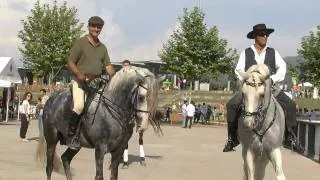 IV Feira  do Cavalo de Ponte de Lima